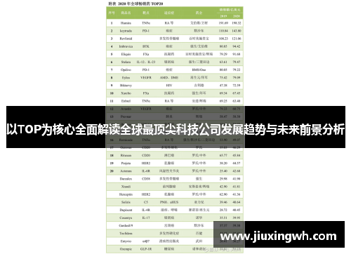 以TOP为核心全面解读全球最顶尖科技公司发展趋势与未来前景分析