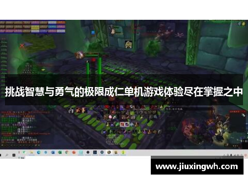 挑战智慧与勇气的极限成仁单机游戏体验尽在掌握之中